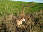 Photos
