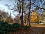 2018-11-10_09-39-25_IMG_20181110_093925_HDR.jpg