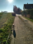 2018-11-16_10-59-06_IMG_20181116_105907_HDR.jpg