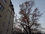2018-11-18_16-09-09_RIMG5512.jpg