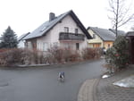 2018-11-20_16-26-43_RIMG5522.jpg