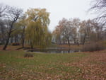 2018-11-24_13-07-49_RIMG5688.jpg