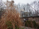 2018-11-24_13-08-39_RIMG5690.jpg