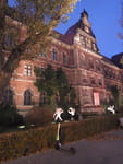 2018-11-26_16-17-25_RIMG5872.jpg