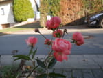 2018-11-28_13-27-40_P1420029.jpg