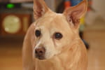 2018-12-03_22-34-06_DSC_6950.jpg