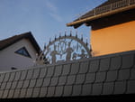 Photos