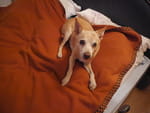 Photos