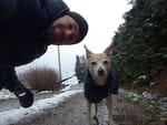 2018-12-12_14-30-38_RIMG6076.jpg