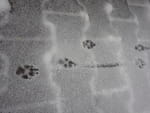 2018-12-12_14-34-01_RIMG6087.jpg