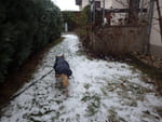2018-12-12_14-40-47_RIMG6105.jpg