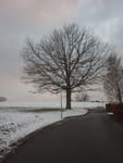 2018-12-13_15-39-43_RIMG6111.jpg