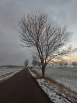 2018-12-13_15-47-42_RIMG6158.jpg