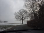 2018-12-15_15-08-29_RIMG6184.jpg