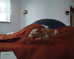 2018-12-17_15-58-58_DJI_0001-pan.jpg