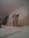 2018-12-17_19-42-29_YDXJ0464.jpg