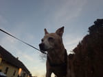 2018-12-18_15-41-40_RIMG6229.jpg