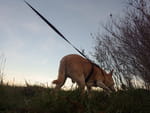 2018-12-18_15-44-14_RIMG6236.jpg