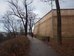 2018-12-22_12-35-51_RIMG6297.jpg