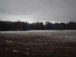 2018-12-22_14-48-12_RIMG6337.jpg