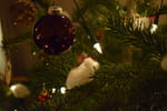 2018-12-24_19-46-12_DSC_8478.jpg
