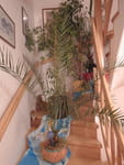 2018-12-29_16-49-43_RIMG6390.jpg