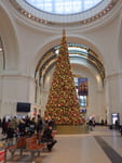 2018-12-30_11-16-39_RIMG6405.jpg