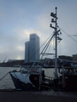 2019-01-01_14-02-48_RIMG6541.jpg