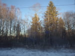 2019-01-03_13-30-05_RIMG6634.jpg