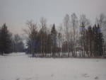 2019-01-03_14-58-23_RIMG6643.jpg