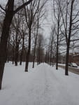 2019-01-03_15-07-44_RIMG6650.jpg