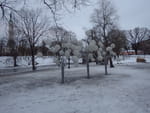 2019-01-05_15-50-28_RIMG6723.jpg