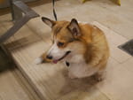 2019-01-07_20-18-00_P1430166.jpg