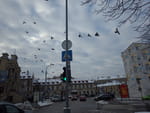 2019-01-09_13-21-10_RIMG6860.jpg