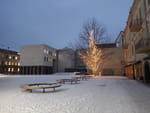2019-01-09_16-49-32_RIMG6929.jpg