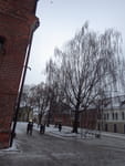 2019-01-10_08-41-32_RIMG7035.jpg