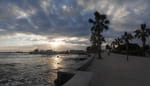 2019-01-11_16-09-51_P1430194-pan.jpg