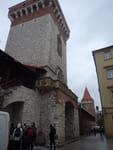 2019-01-15_11-52-28_RIMG7151.jpg
