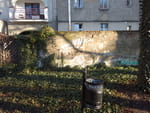2019-01-18_13-42-35_RIMG7236.jpg