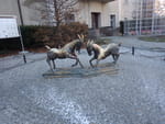 2019-01-18_13-48-25_RIMG7238.jpg
