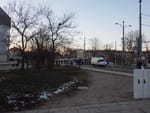 2019-01-18_16-10-24_RIMG7263.jpg