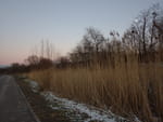 2019-01-18_16-19-30_RIMG7276.jpg