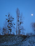 2019-01-18_16-42-35_RIMG7325.jpg