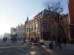 2019-01-20_11-20-46_RIMG7413.jpg