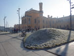 2019-01-20_11-31-37_RIMG7425.jpg