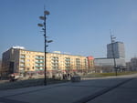2019-01-20_11-32-06_RIMG7426.jpg