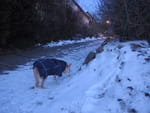 2019-01-21_17-15-45_RIMG7464.jpg
