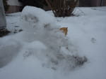 2019-01-24_15-13-41_RIMG7482.jpg