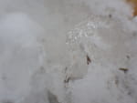 2019-01-24_15-13-58_RIMG7484.jpg