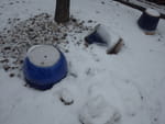 2019-01-24_15-14-56_RIMG7487.jpg